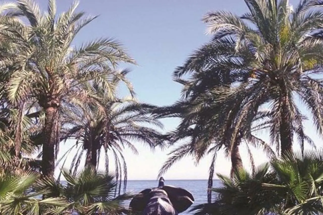 Apartamento Gran Marbella 6 Διαμέρισμα Ισπανία
